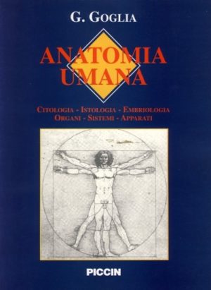 Anatomia Umana